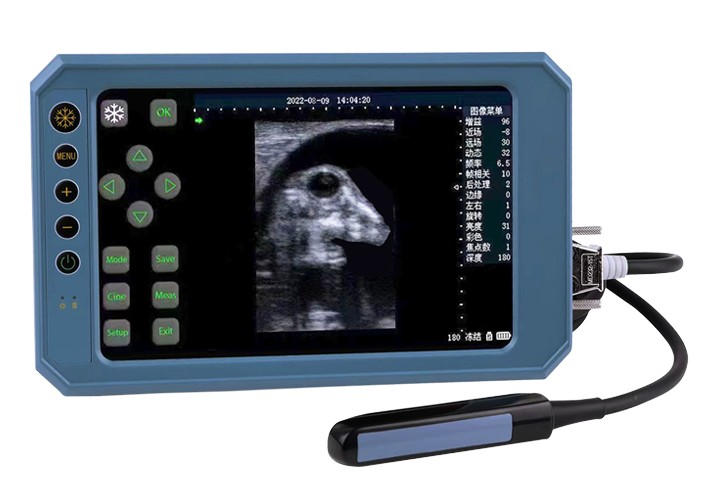 BU403T Scanner a ultrasuoni portatile di tipo B Con schermo sensibile al tocco e sonda lineare rettale da 6,5 MHz per uso veterinario